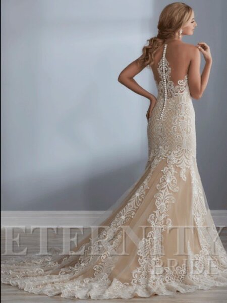 Eternity-D5519-fitted-lace-wedding-dress with illusion lace detail back view.