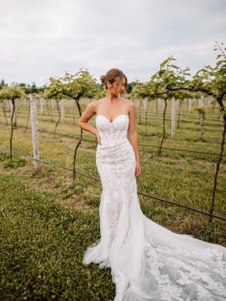 Essense of Australia D3647 fitted wedding dress front view in vineyard.