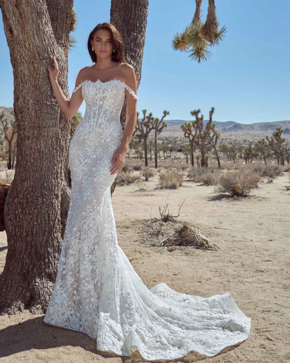 Calla Blanche Orelia 126104 fitted lace wedding dress full length front view.
